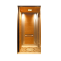 Home Elevator Lift Chinese Top Elevator Marke gute Qualität billiger Aufzug